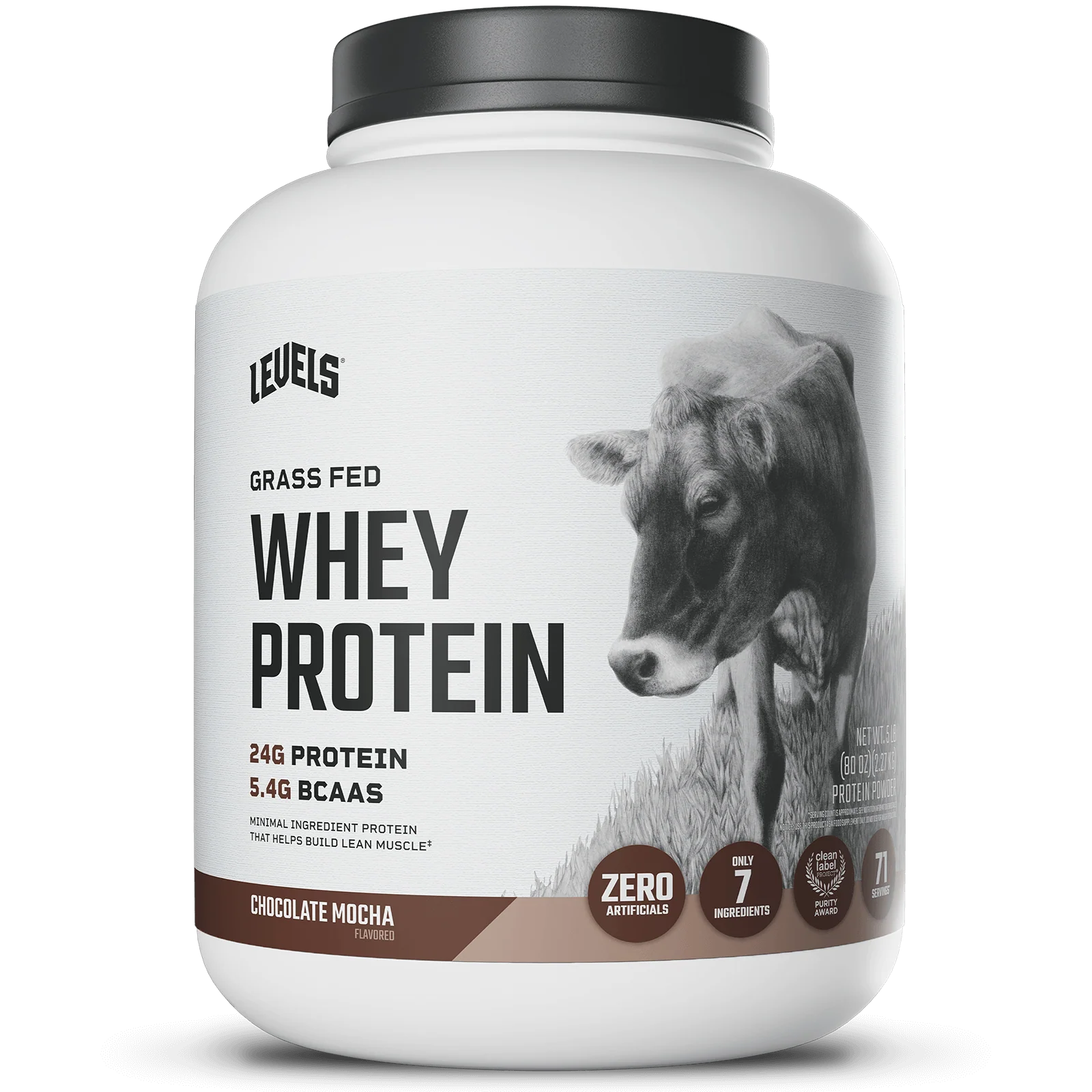 Whey Protein - Image 3