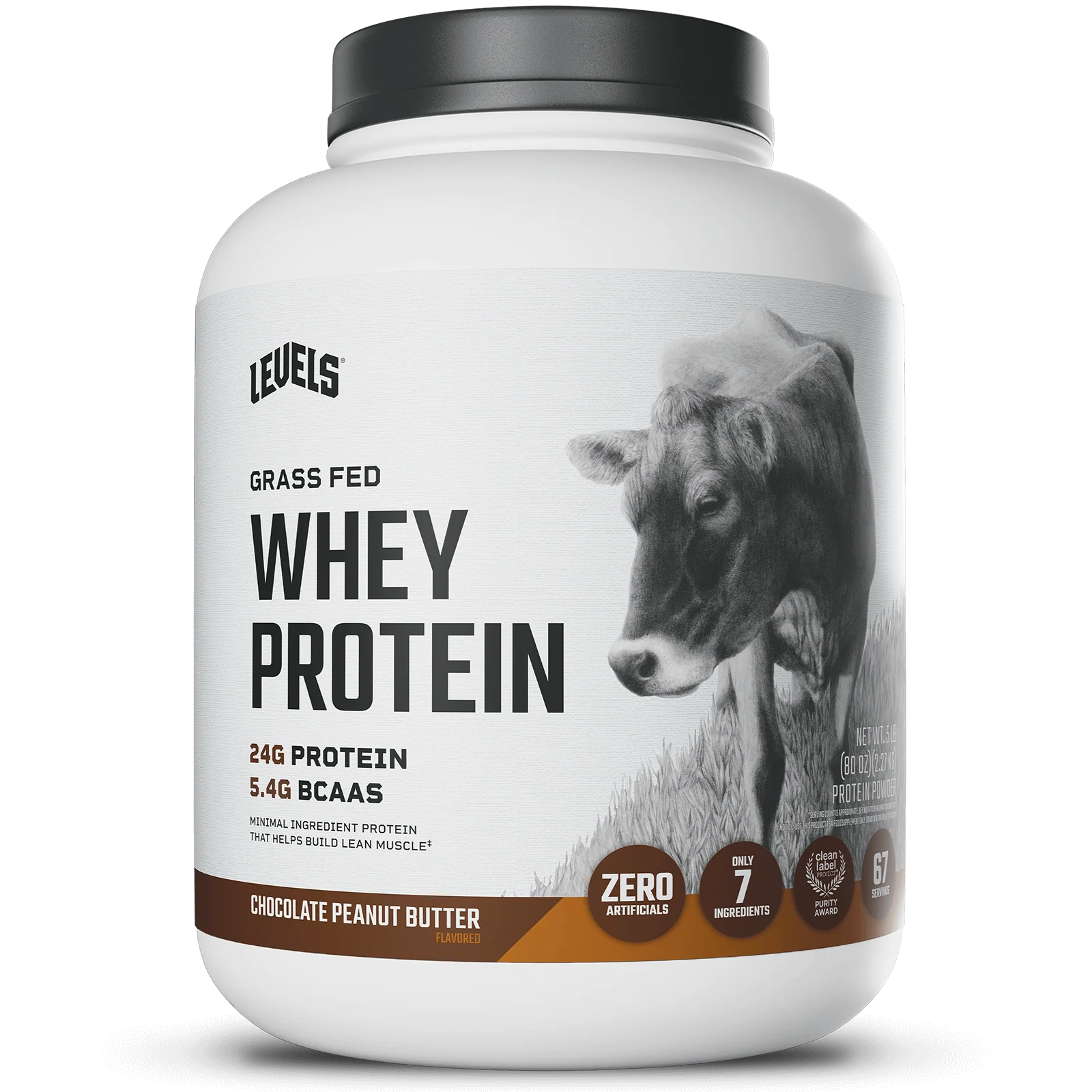 Whey Protein - Image 4