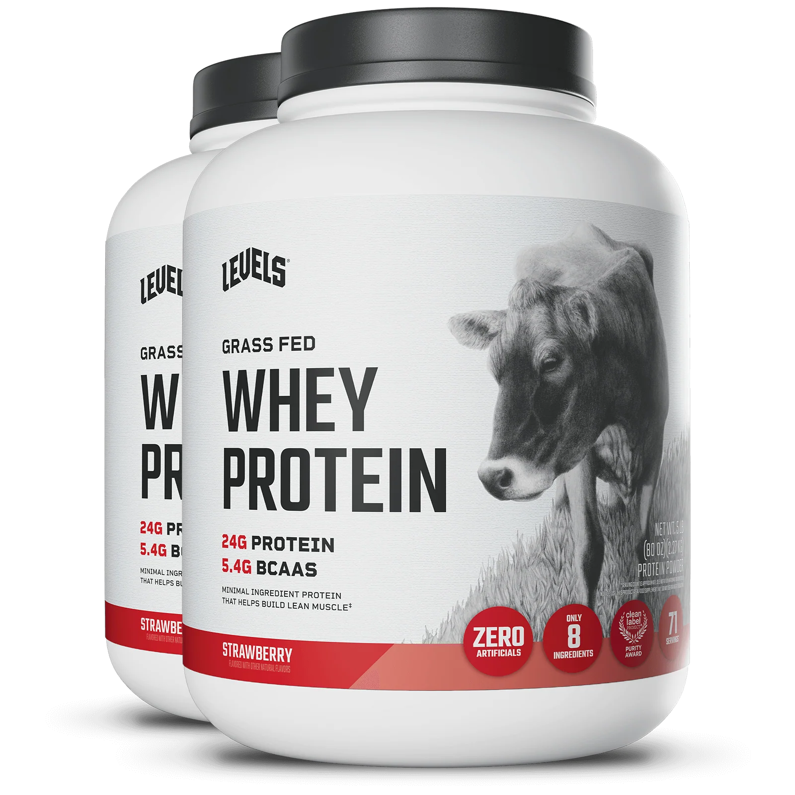 Whey Protein - Image 41