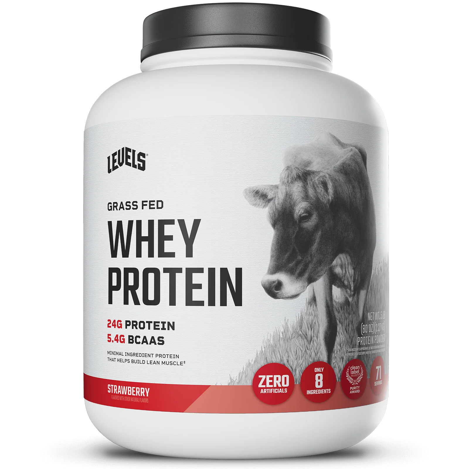 Whey Protein - Image 6