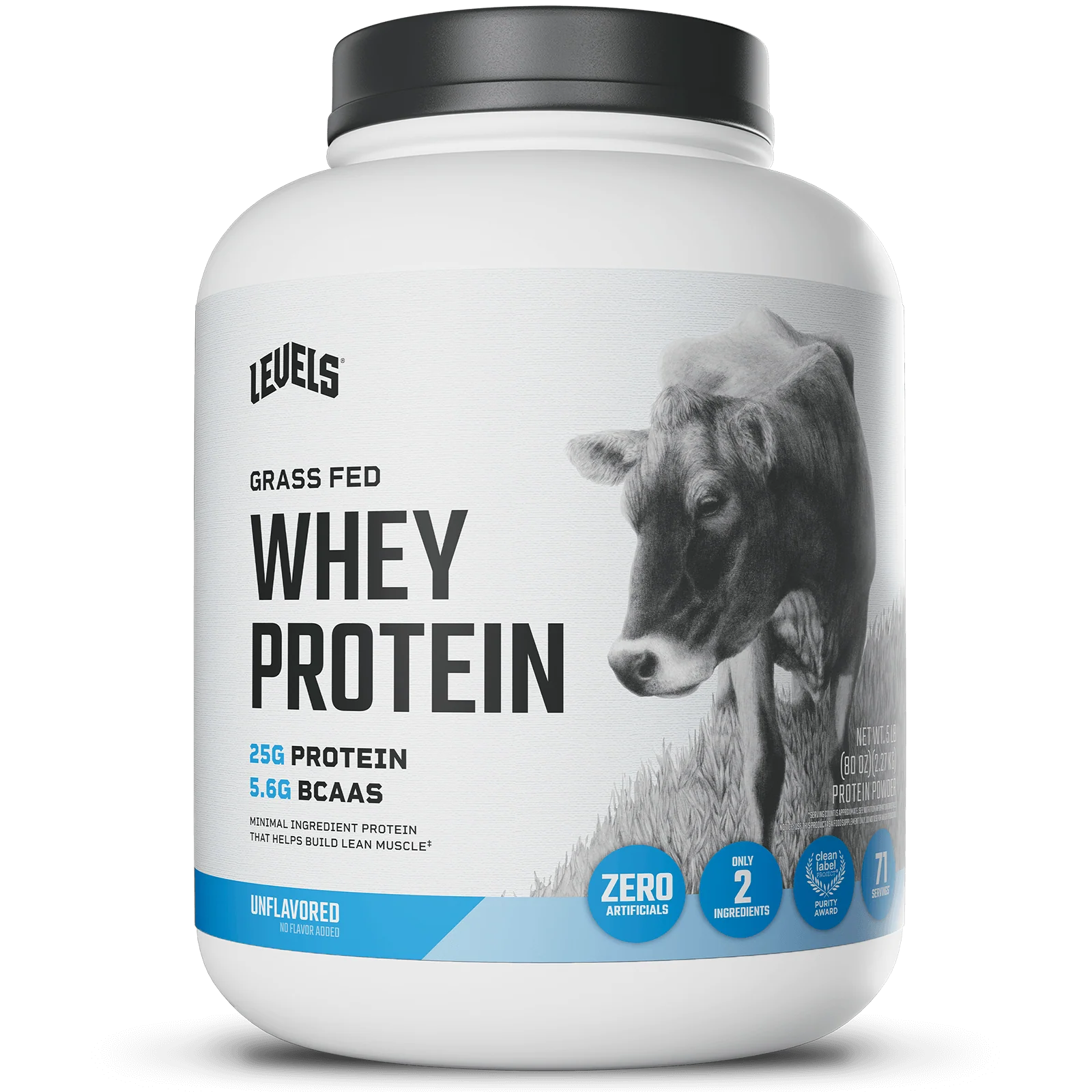 Whey Protein - Image 8